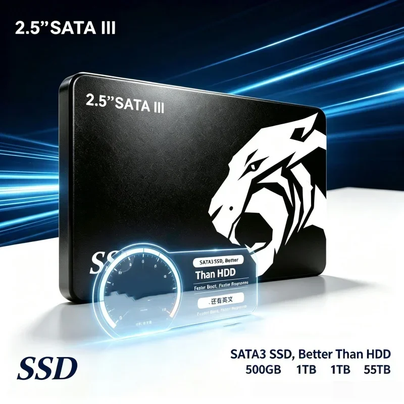2026 2,5 inch SATA III SSD 500 - Ssd 500Gb recensie en prijs