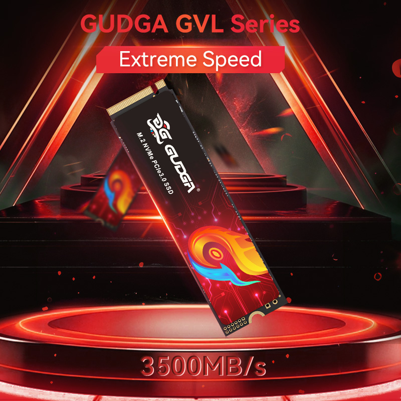 GUDGA SSD NVME M2 PCIe 3.0512G - Ssd 1Tb recensie en prijs